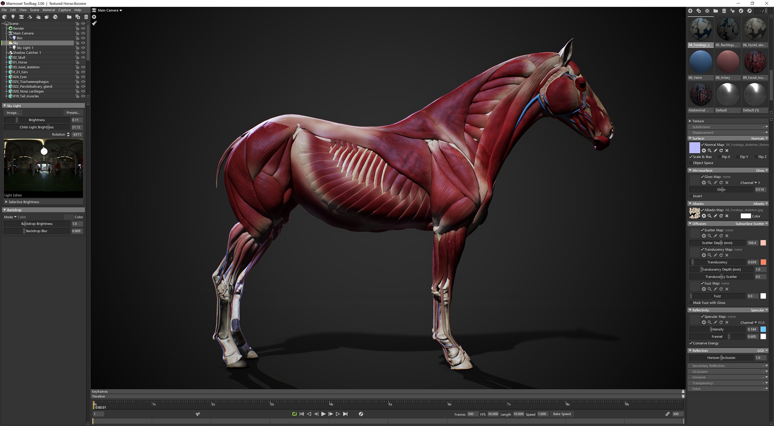 3D Polygon Horse Model